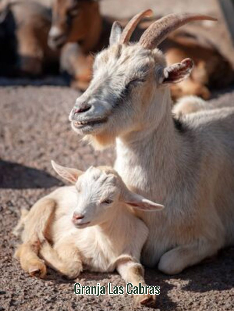 Granja de las Cabras