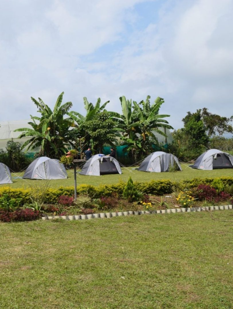 Yapri Camp Zona de Camping 9