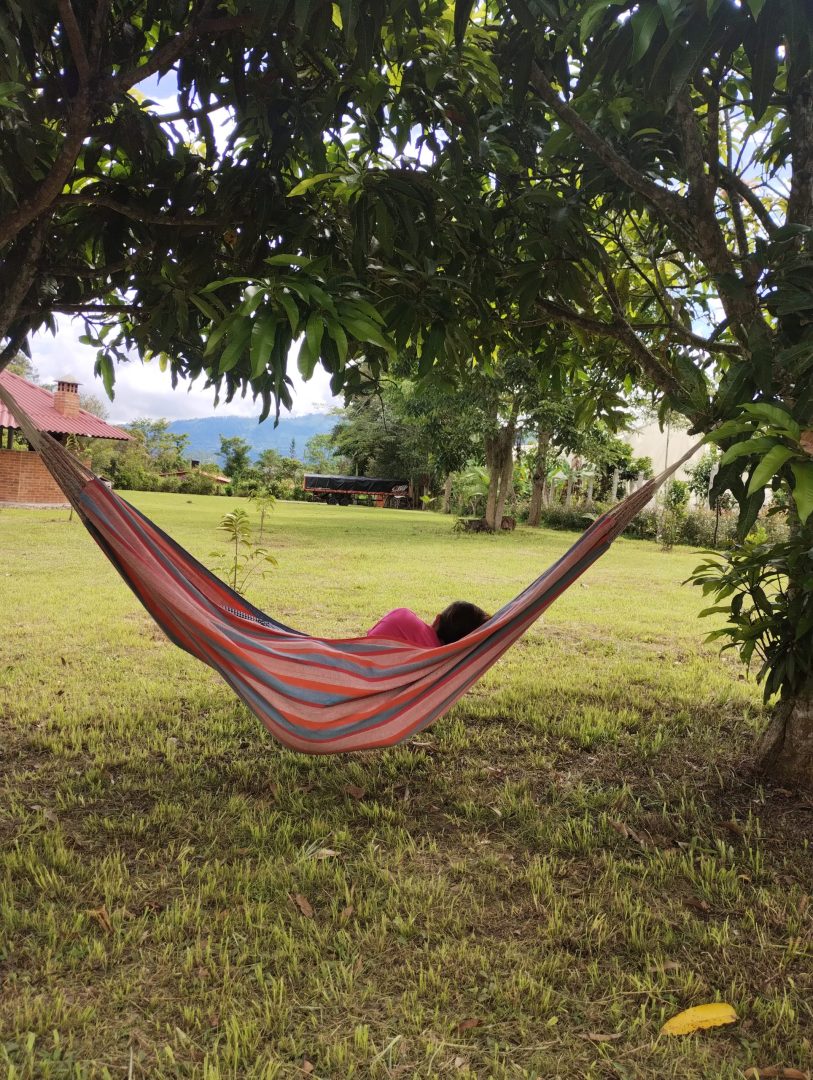 IMG_20250602_141612345