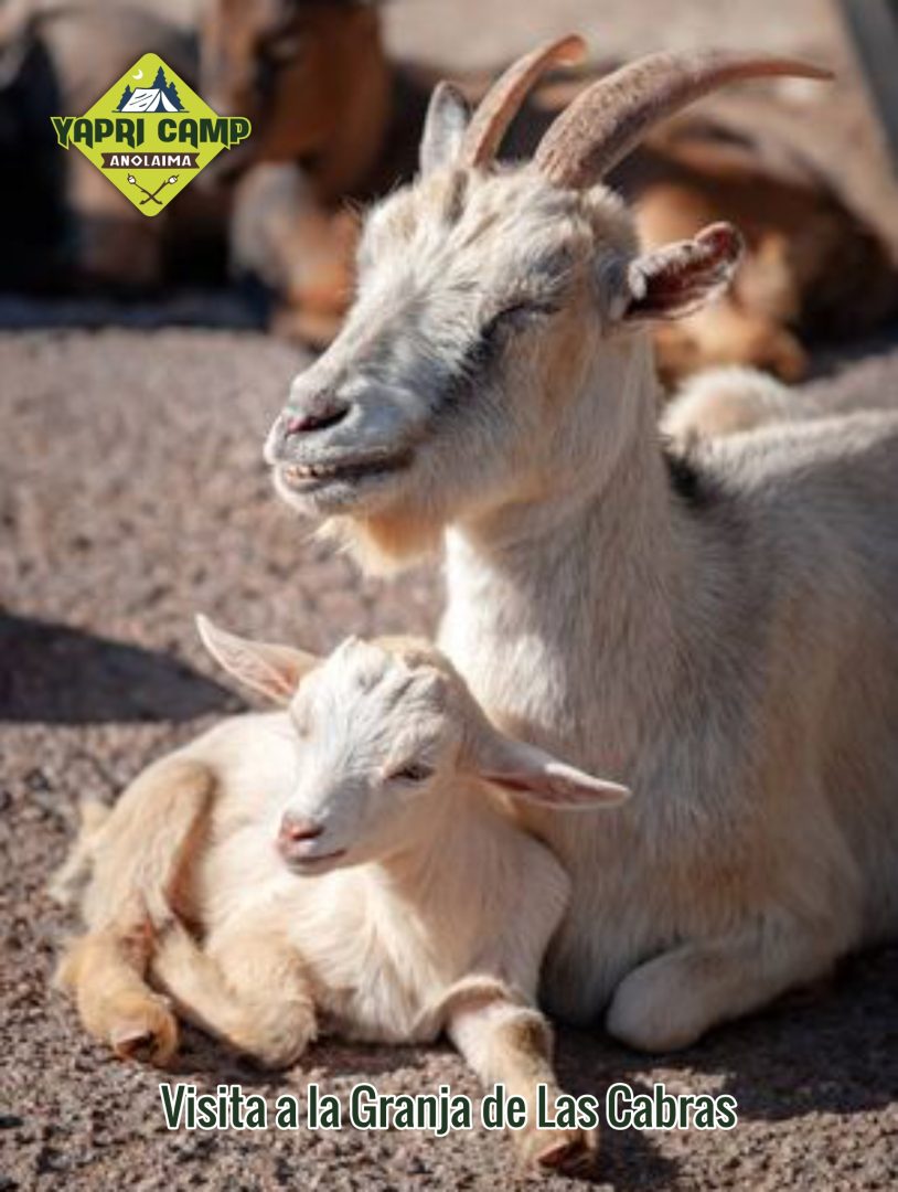 Granja de las cabras