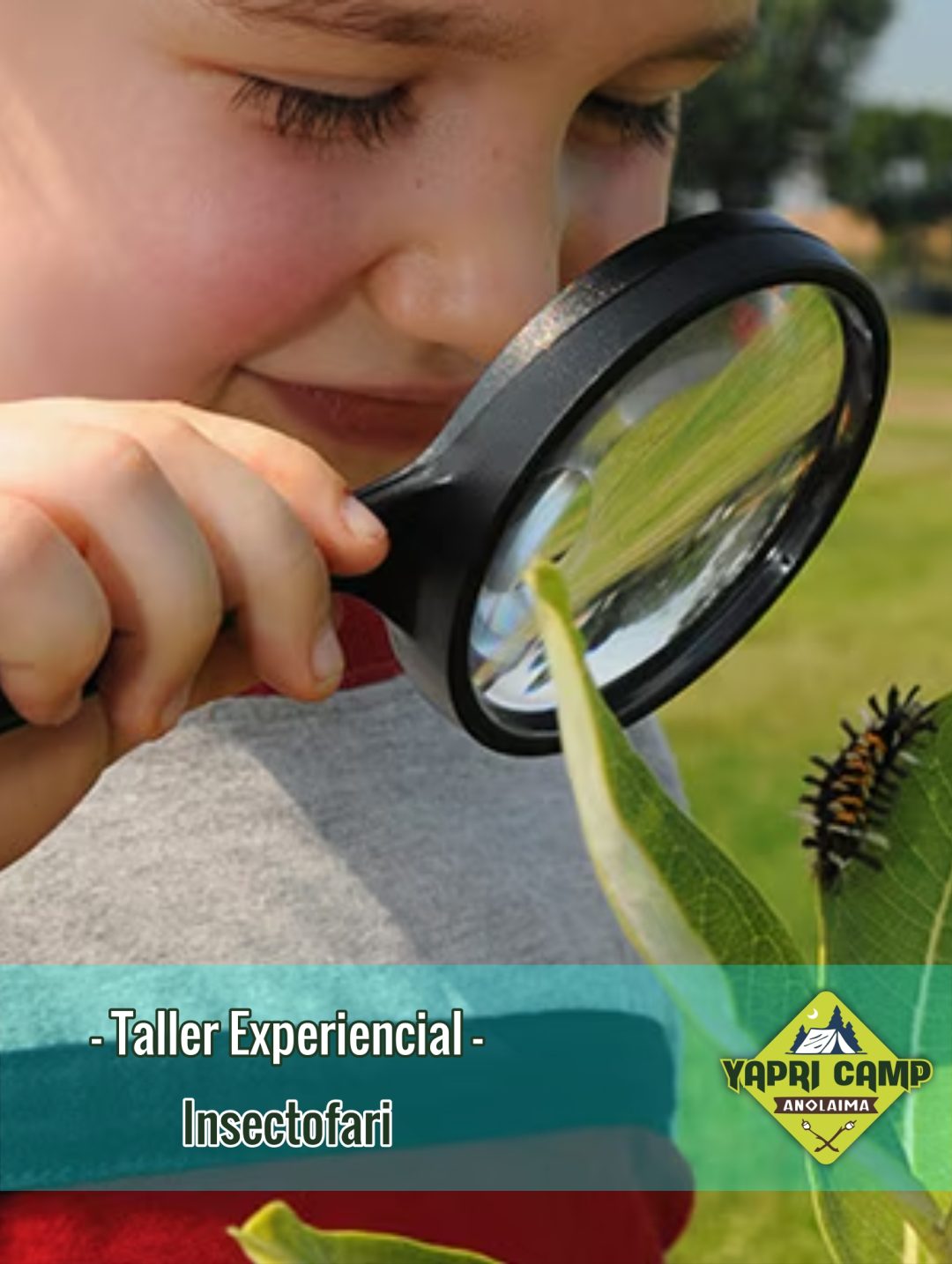 Taller de Insectofari
